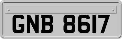 GNB8617