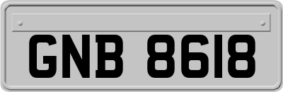 GNB8618