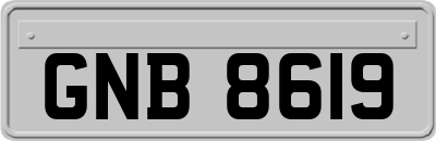GNB8619