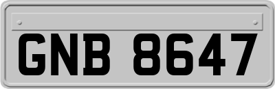 GNB8647