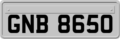 GNB8650