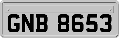 GNB8653