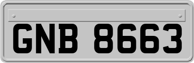 GNB8663