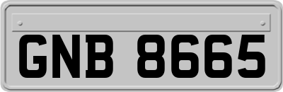 GNB8665