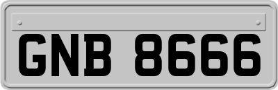 GNB8666