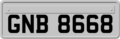GNB8668