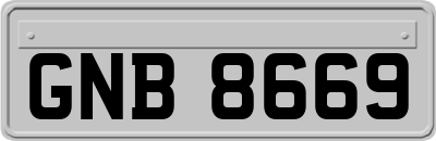 GNB8669