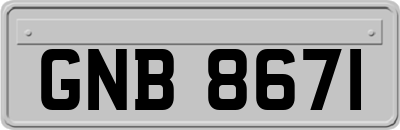GNB8671