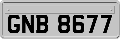 GNB8677