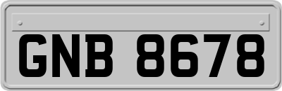 GNB8678