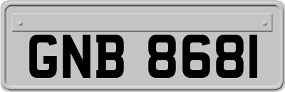 GNB8681