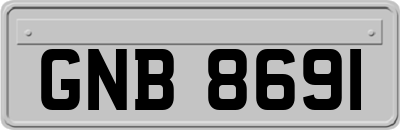 GNB8691