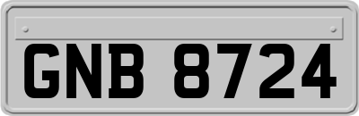 GNB8724