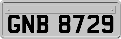 GNB8729