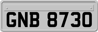 GNB8730