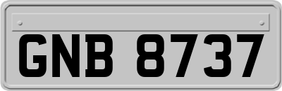 GNB8737