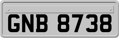 GNB8738