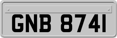 GNB8741