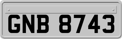 GNB8743
