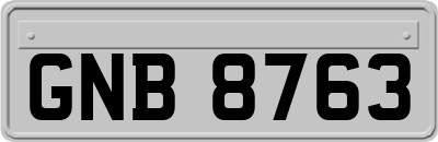 GNB8763