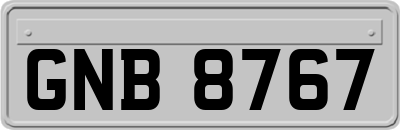 GNB8767