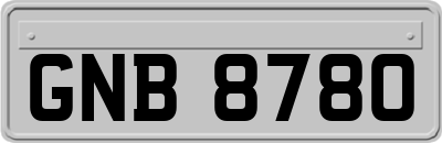 GNB8780