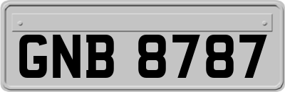 GNB8787
