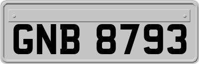 GNB8793