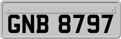 GNB8797