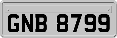 GNB8799