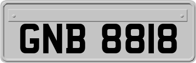 GNB8818
