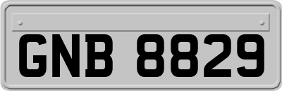 GNB8829