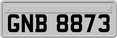 GNB8873