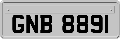 GNB8891