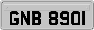 GNB8901