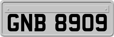 GNB8909