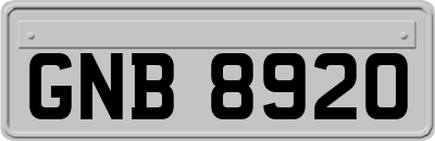 GNB8920