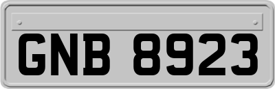 GNB8923