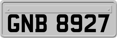 GNB8927