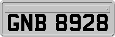 GNB8928