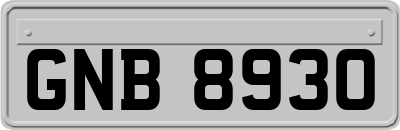 GNB8930