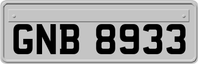 GNB8933