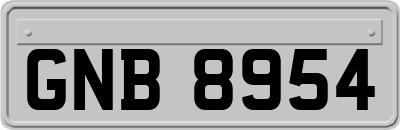 GNB8954
