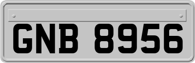 GNB8956