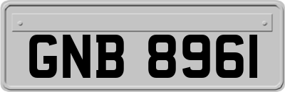 GNB8961