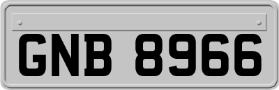 GNB8966