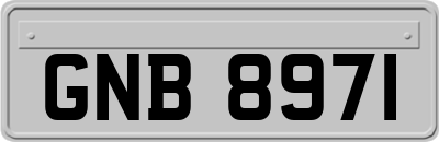 GNB8971