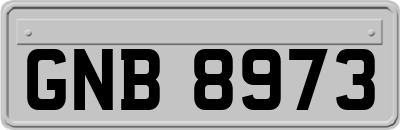 GNB8973