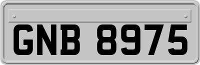 GNB8975