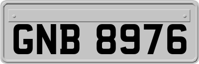 GNB8976